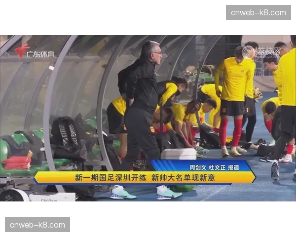 前国脚、现深圳队教练组成员进入国足新一期教练组考察名单。